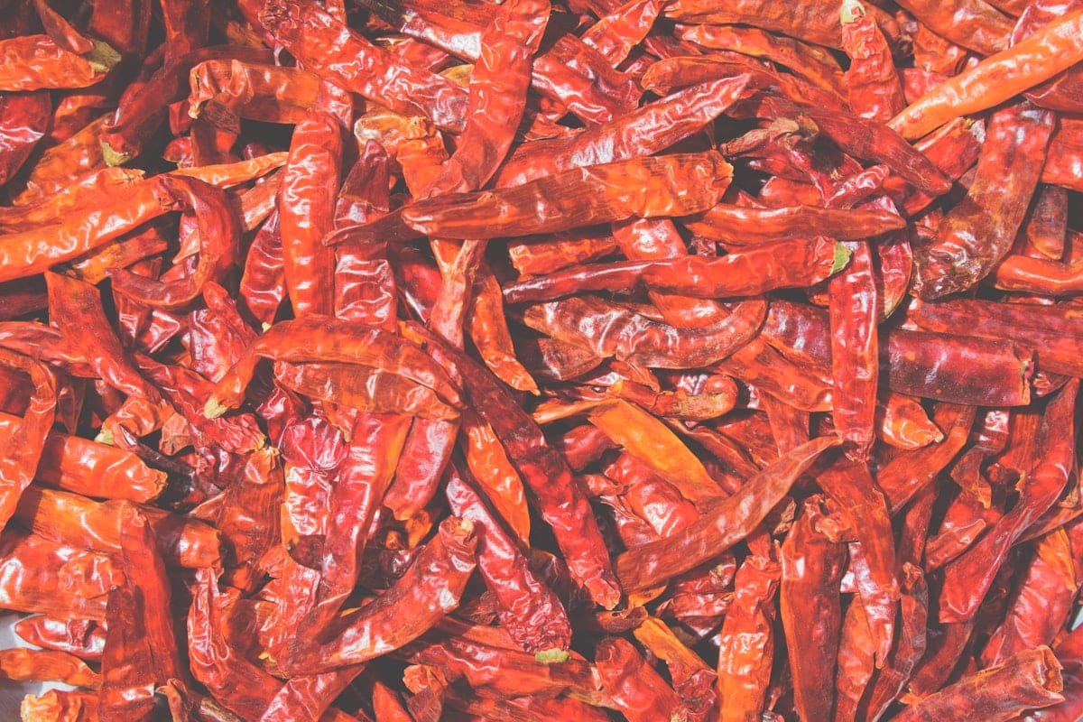 Indian dried red chilli exporter — Guntur Sannam Teja Byadgi varieties, ASTA colour tested, aflatoxin screened, APEDA registered