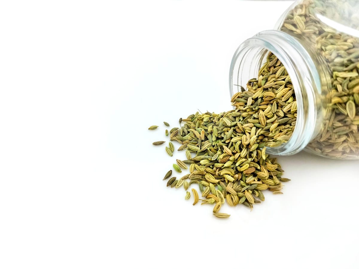 Cumin seed jeera exporter India — 98% purity machine-cleaned, volatile oil tested, non-ETO, Mahesana Gujarat origin