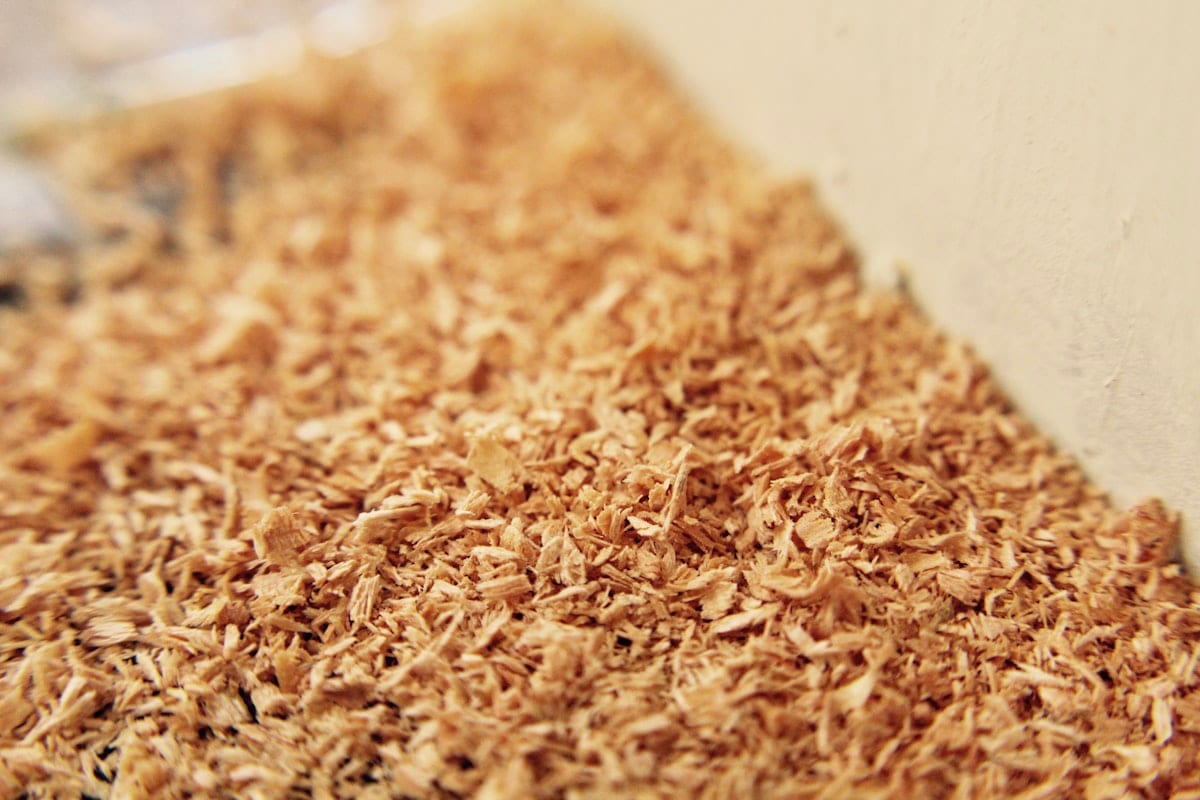 Dehydrated onion exporter India — flakes kibbled granules powder, HACCP certified, moisture max 5%, Gujarat origin