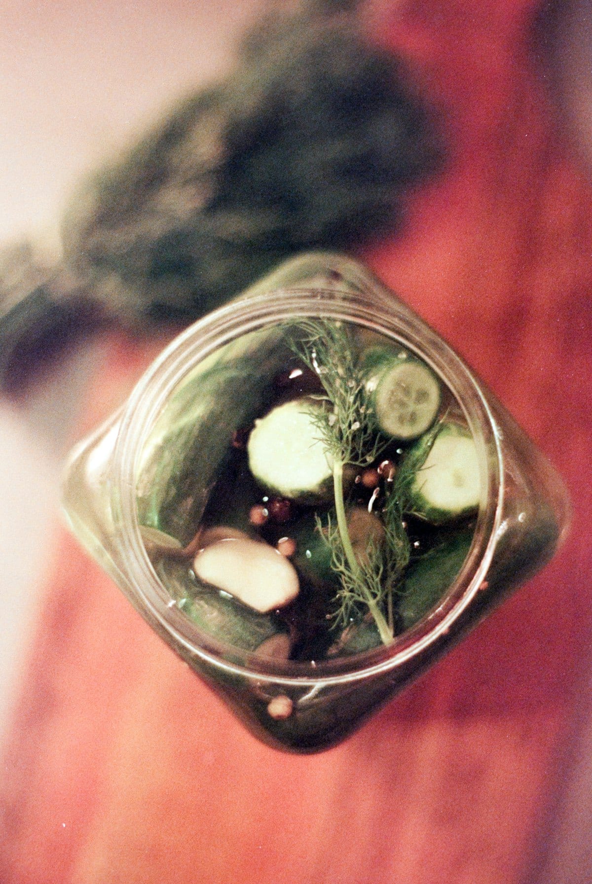 Indian gherkins exporter — vinegar brine pickled food grade EU USA market APEDA registered Karnataka