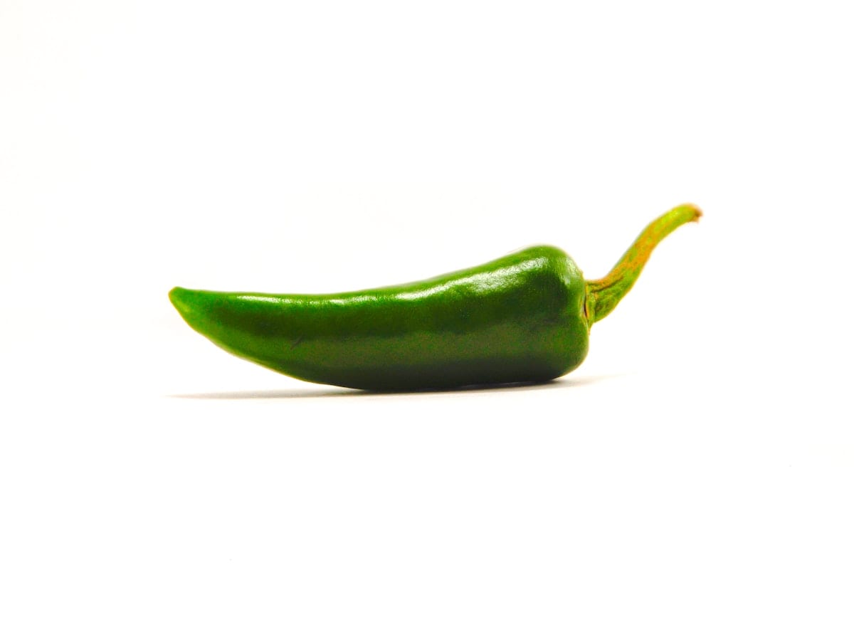 Indian fresh green chilli exporter — phytosanitary certified APEDA registered bulk supply