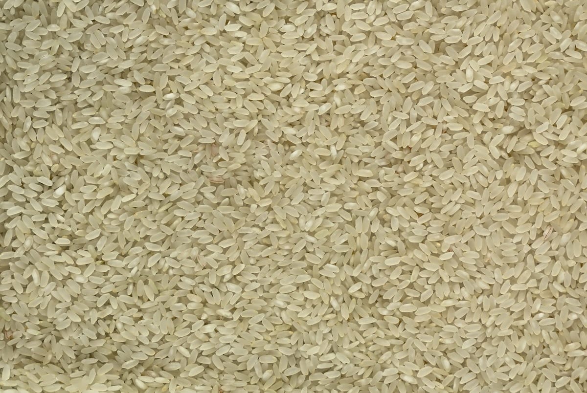 Indian non-Basmati rice exporter — 5% 25% broken parboiled white rice, APEDA registered, bulk supply Africa Asia